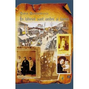 In labirint sunt umbre si lumini - Codrut Constantinescu