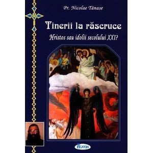 Tinerii la rascruce - Nicolae Tanase