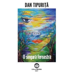 O singura fereastra - Dan Tipurita