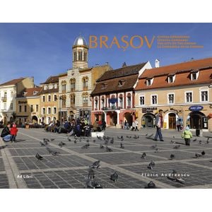 Brasov - Florin Andreescu