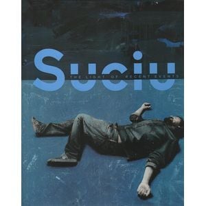 The Light of Recent Events - Mircea Suciu