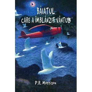 Baiatul care a imblanzit vantul l - P.R. Morrison