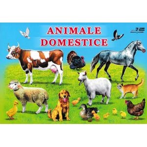 Animale domestice