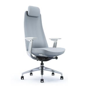 Scaun Ergonomic StableDesk FOREVER Aluminium, Cotiere 3D, Tetiera reglabila, Suport lombar ajustabil, Inaltime reglabila, Inclinare spatar in 5 pozitii, Albastru / Argintiu