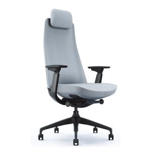 Scaun Ergonomic StableDesk FOREVER Aluminium, Cotiere 3D, Tetiera reglabila, Suport lombar ajustabil, Inaltime reglabila, Inclinare spatar in 5 pozitii, Albastru / Negru