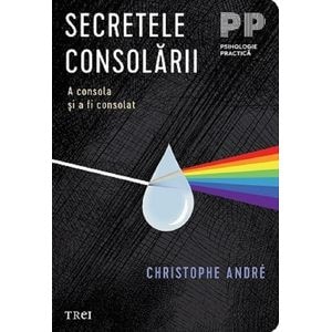 Secretele consolarii. A consola si a fi consolat - Christophe Andre