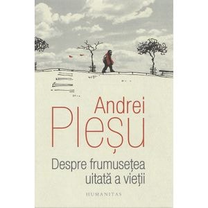 Despre frumusetea uitata a vietii - Andrei Plesu