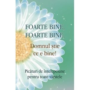 Foarte bine, foarte bine, Domnul stie ce e bine! - Adrian Chiaga
