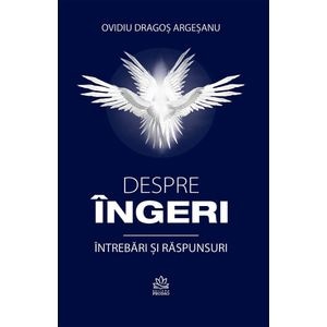 Despre ingeri. Intrebari si raspunsuri - Ovidiu Dragos Argesanu