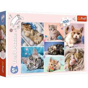 Puzzle Trefl 100 In Lumea Pisicilor