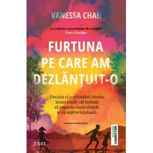 Furtuna pe care am dezlantuit-o - Vanessa Chan