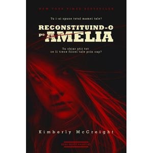 Reconstituind-o pe Amelia - Kimberly McCreight