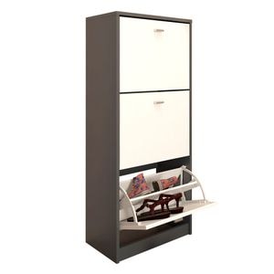 Pantofar DacEnergy, fabricat din Pal melaminat, 3 compartimente, design simplu, 50 x 28 x 116 cm, grafit si alb