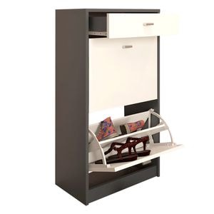 Pantofar DacEnergy, fabricat din Pal melaminat, 2 compartimente pentru incaltari, un sertar, designsimplu, 50 x 92 x 28 cm, grafit si alb