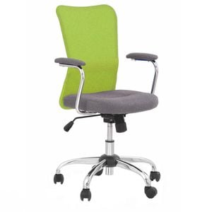 Scaun birou copii DRIMUS HM Andy, Cu brate, Poliester, 11 kg, Verde, Gri