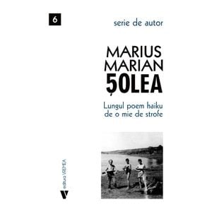 Lungul poem Haiku de o mie de strofe - Marius Marian Solea