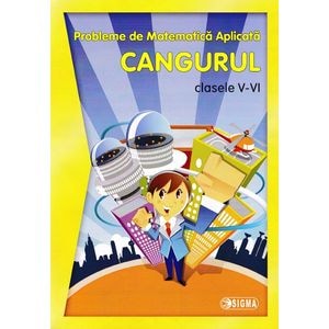 Cangurul - Clasele 5-6 - Probleme de matematica aplicata