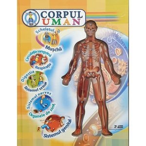 Corpul uman