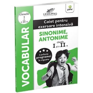 Vocabular. Caiet pentru exersare intensiva - Clasele 1-2