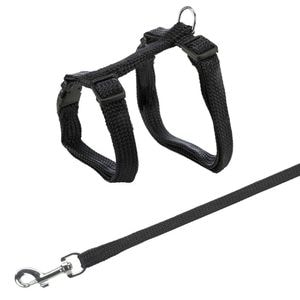 Set Ham Si Lesa Pentru Pisici, Trixie, 22-42 cm/10 mm, 1.25 m, Diverse Culori, 4185
