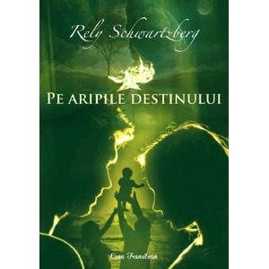 Pe aripile destinului - Rely Schwartzberg