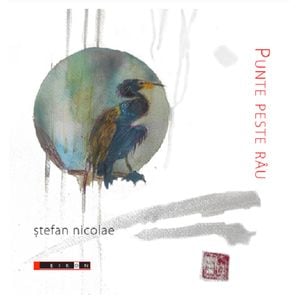 Punte peste rau - Stefan Nicolae