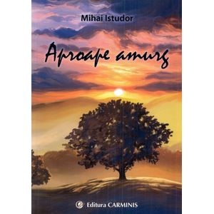 Aproape amurg - Mihai Istudor