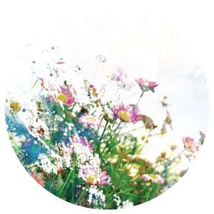 Fototapet A&G CR 3201, model Flowers, 70 x 70 cm