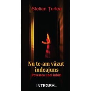 Nu te-am vazut indeajuns. Povestea unei iubiri - Stelian Turlea