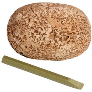 Oua de dinozaur KOSMOS