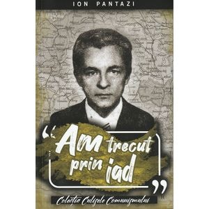 Am trecut prin iad. Partea 1 - Ion Pantazi