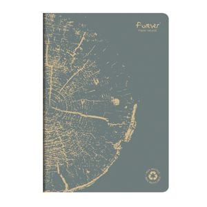 Caiet capsat A4 Clairefontaine, Forever, 48 file, dictando hartie reciclata, gri