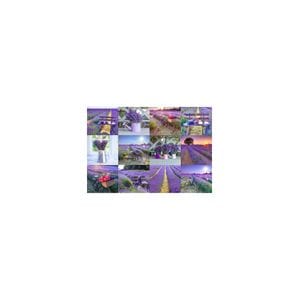Puzzle Din Lemn LAVENDER FRANCE S, Wooden City, 75 piese