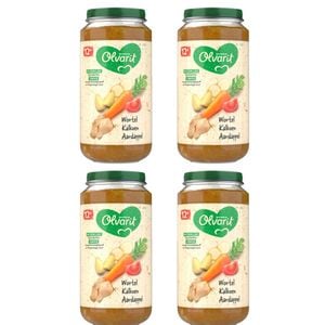 Set 4 x mancare Olvarit, pentru bebelusi, Curcan morcovi rosii cartofi, 12+ luni
