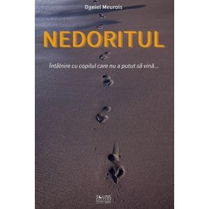 Nedoritul. Intalnire cu copilul care nu a putut sa vina - Daniel Meurois
