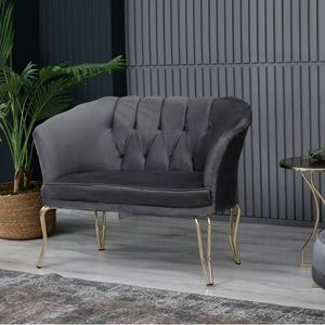 Canapea fixa HOMS Viena, 2 locuri, 120 x 40 x 86 cm, gri-auriu