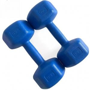 Set gantere FitTronic HG R2x5, 2 x 5 kg