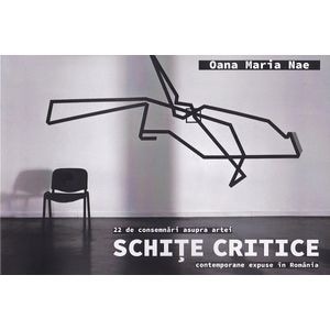 Schite critice. 22 de consemnari asupra artei contemporane in Romania - Oana Maria Nae