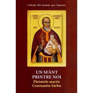 Un sfant printre noi. Parintele martir Constantin Sarbu Ed.2 - Danion Vasile