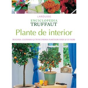 Plante de interior - Larousse