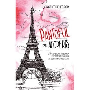 Pantoful pe acoperis - Vincent Delecroix