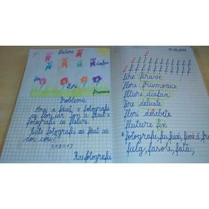 Caiet Numlit, Liniatura Combinata, 24 file