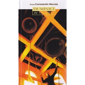 Duminici de fiecare zi - Constantin Necula