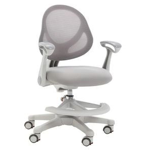 Scaun de studiu, ergonomic, pentru copii, spatar ergonomic, reglabil, Gri