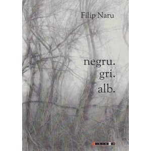 Negru. Gri. Alb - Filip Naru