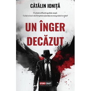 Un inger decazut - Catalin Ionita