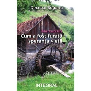 Marturisiri. Cum a fost furata speranta vietii - Decebal Bugariu