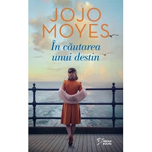 In cautarea unui destin - Jojo Moyes