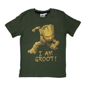 Tricou copii Guardians of the Galaxy, I Am Groot, verde, marimea 176 cm, 100% bumbac