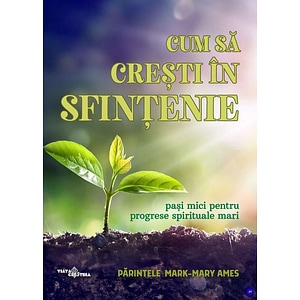 Cum sa cresti in sfintenie - Parintele Mark-Mary Ames